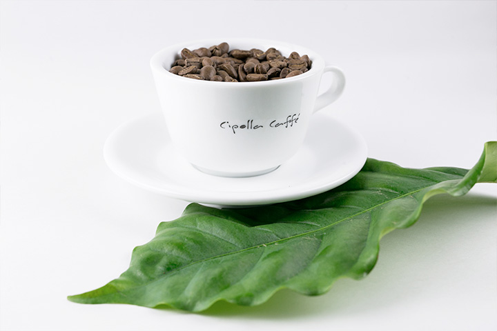 Cipolla Coffee